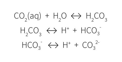 carbonic acid decomposition equation